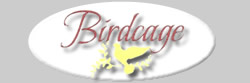 Birdcage Fine Furniture & Home Decor 