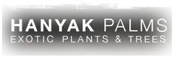 Hanyak Palms, thirteen acres under production growing numerous varieties of palms and tropicals. We pride ourselves on helpful and personal service. The nursury is certified to ship throught California, Nevada and Arizona.