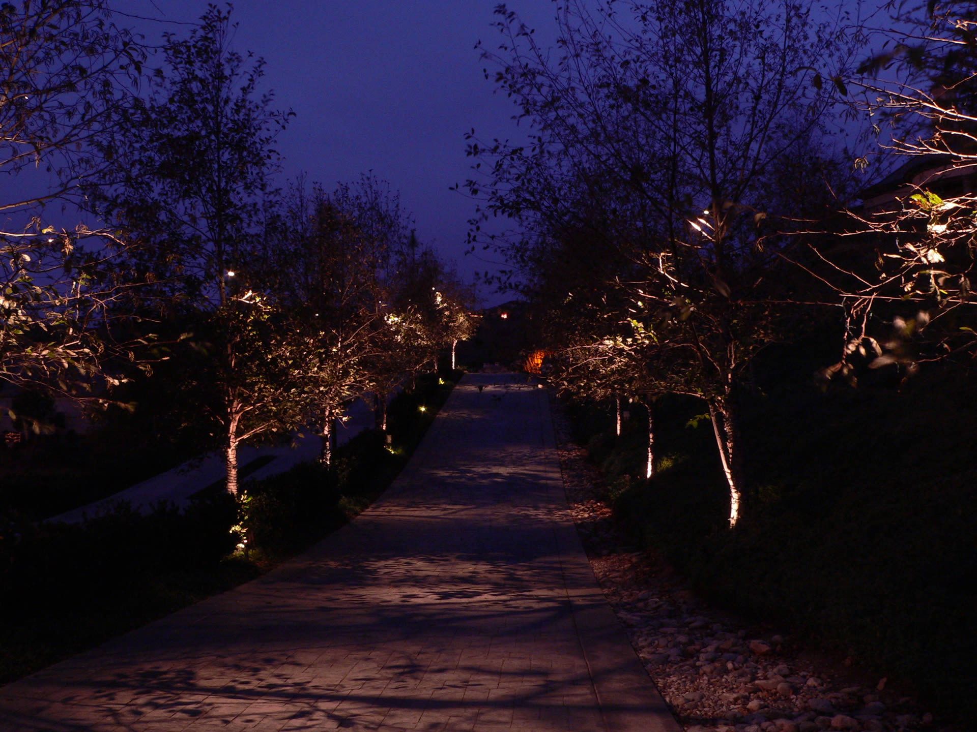Sacramento Landscape Lighting by Artistic Illumination