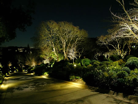 Alamo LED Landscape Lighting Conversion
